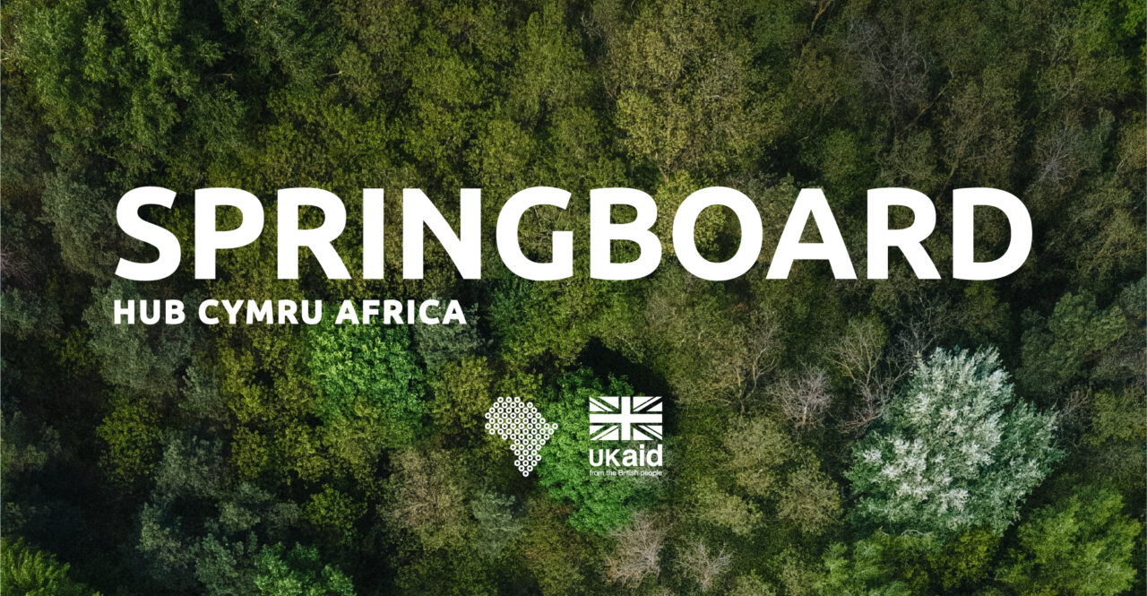Springboard by Hub Cymru Africa